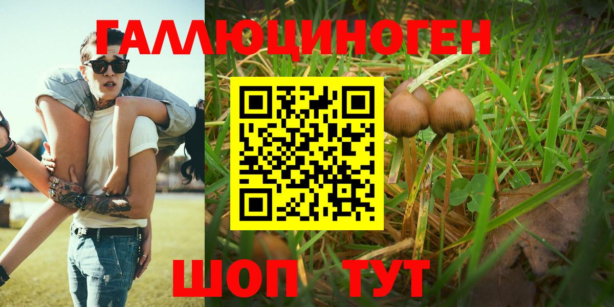Галлюциногенные грибы ЛСД  Вход с VPN  Асино  Галлюциногенные грибы MAGIC MUSHROOMS 